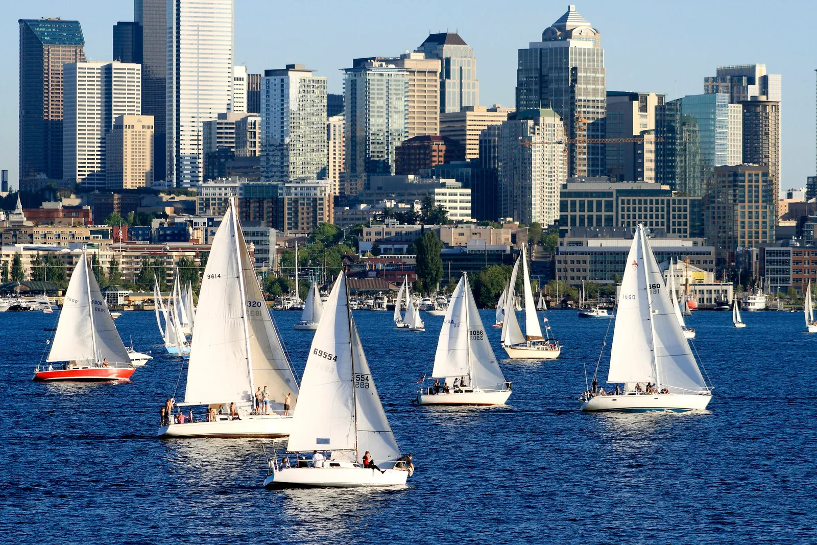 A fleet of sailboats racing on Lake Union on a summer evening, crews sitting along the rails, with the south shore and the downtown Seattle skyline and construction cranes behind them