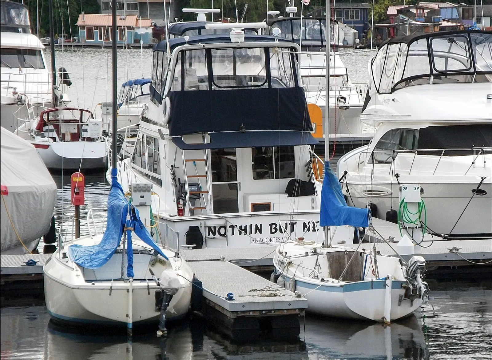 A crowded Portage Bay marina seen through a long lens, a cabin cruiser named NOTHIN BUT NET out of Anacortes at the centre, small sailboats under blue tarps in front and floating homes along the far shore